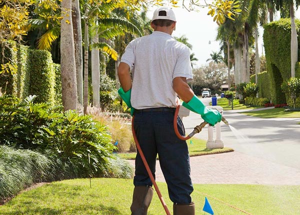 About Kimberly OR Pest Control Pros